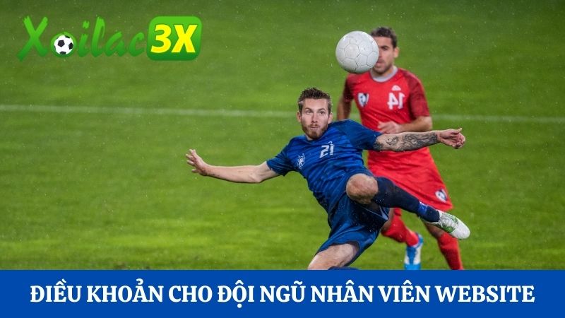 điều khoản xoilac dành cho nhân viên