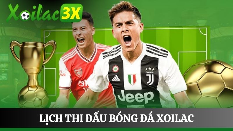 Tổng quan về chuyên mục lịch bóng đá trực tiếp Tổng quan về chuyên mục lịch bóng đá trực tiếp